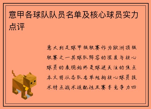 意甲各球队队员名单及核心球员实力点评
